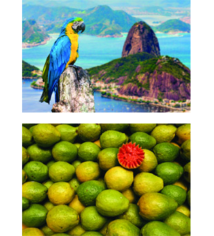 Rio De Janeiro